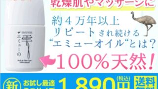 Advertisement for Emu Oil Shop: white bottle on the left with bold pink and blue Japanese text claiming '100% natural' and price 1,890 yen with free shipping.