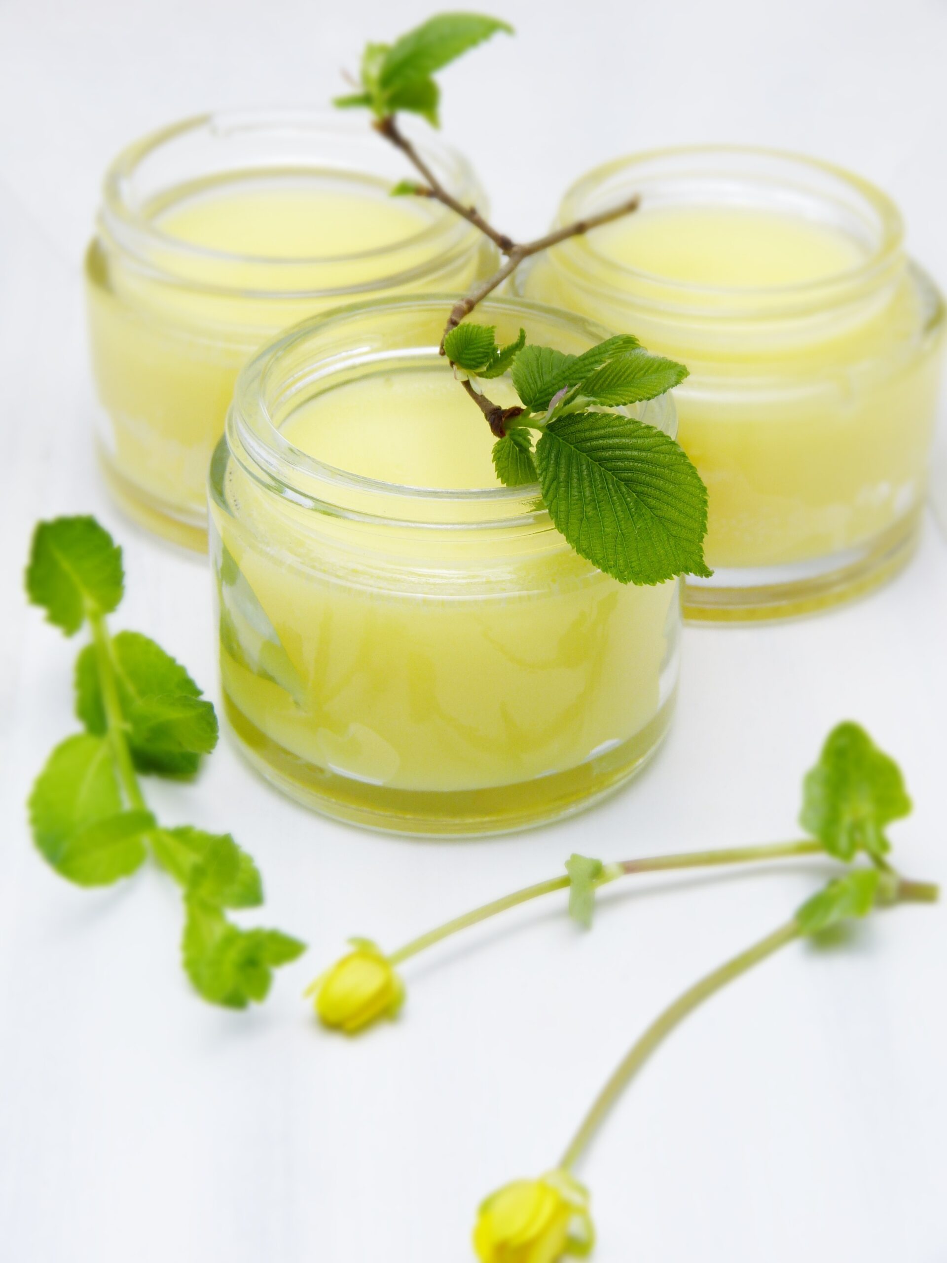 Three glass jars filled with pale yellow lemon curd, a green leafy branch resting on the front jar.